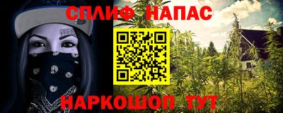 стафф Будённовск