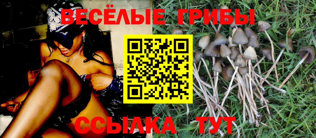 Псилоцибиновые грибы прущие грибы Малоярославец
