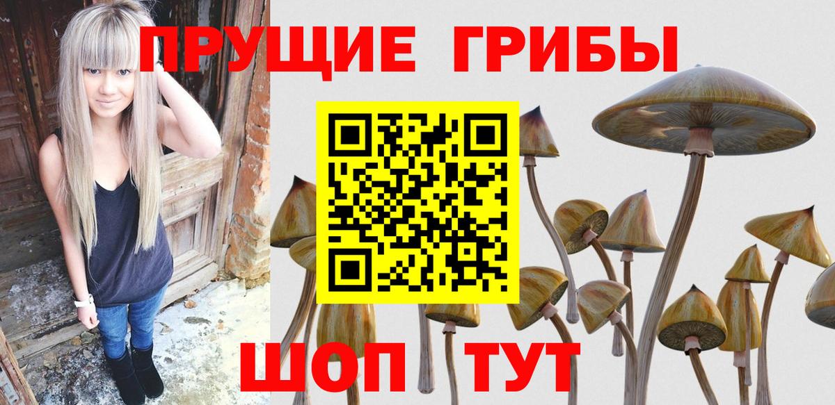 Малоярославец  Галлюциногенные грибы мицелий  Вход с VPN 
